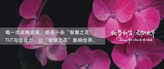 IKEA）的全球化历程、品牌战略与启示开元棋牌app从小镇走向世界 宜家（(图4)