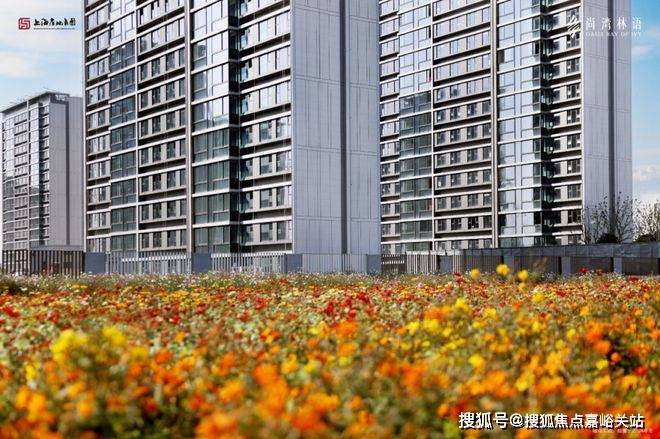 潜力热盘投资自住双赢的理想之选开元棋牌尚湾林语售楼处发布闵行(图19)